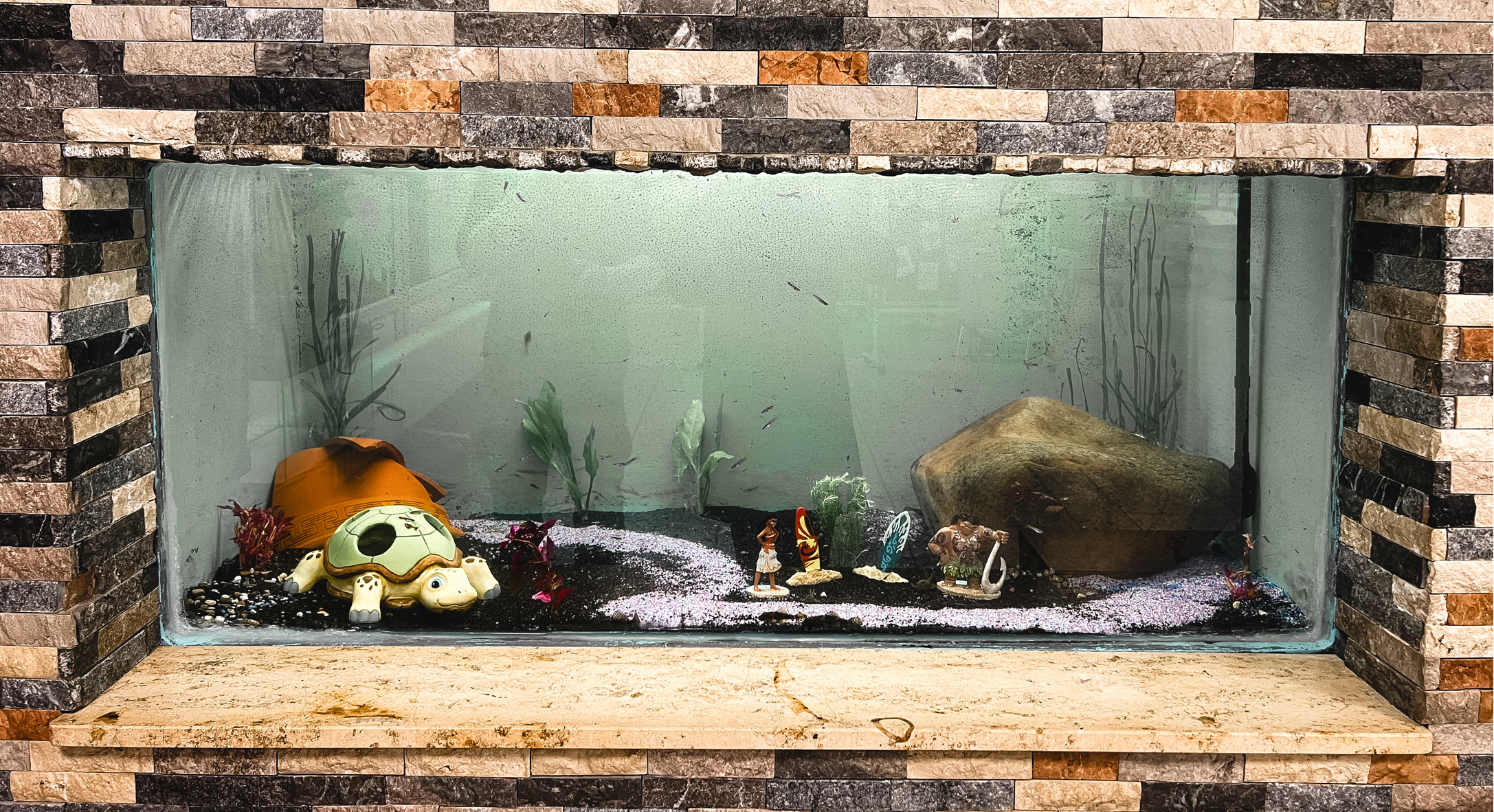 Aquarium.png