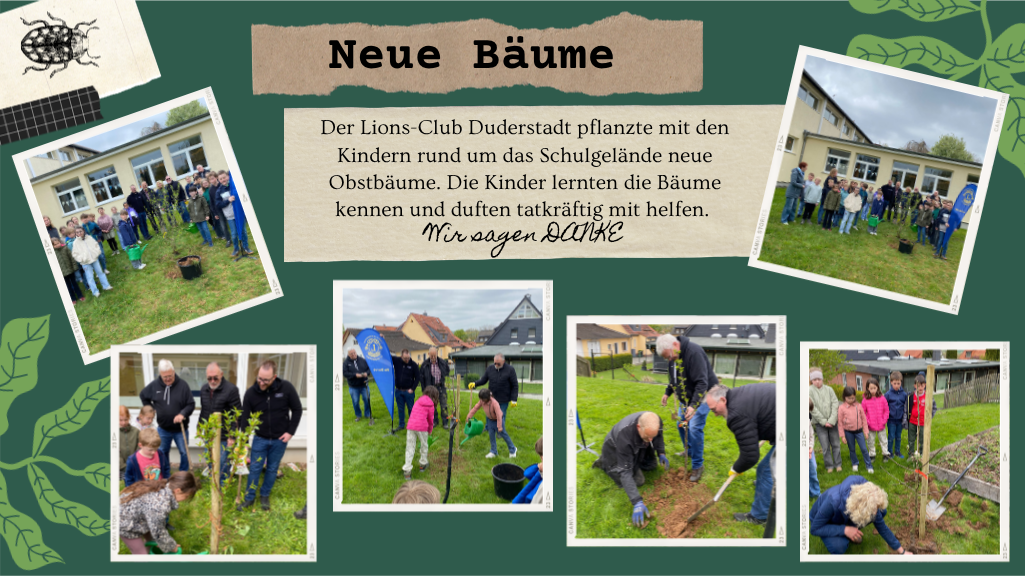 Neue Bäume