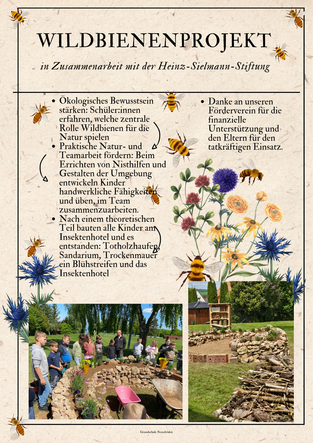 Wildbienen